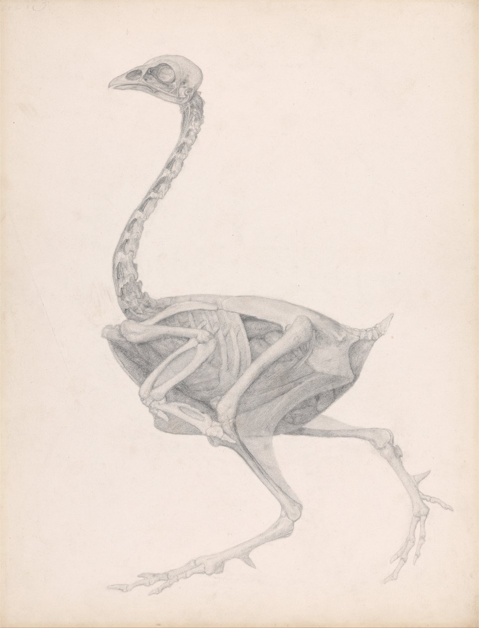  av George Stubbs