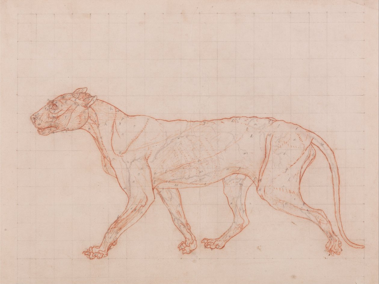  av George Stubbs