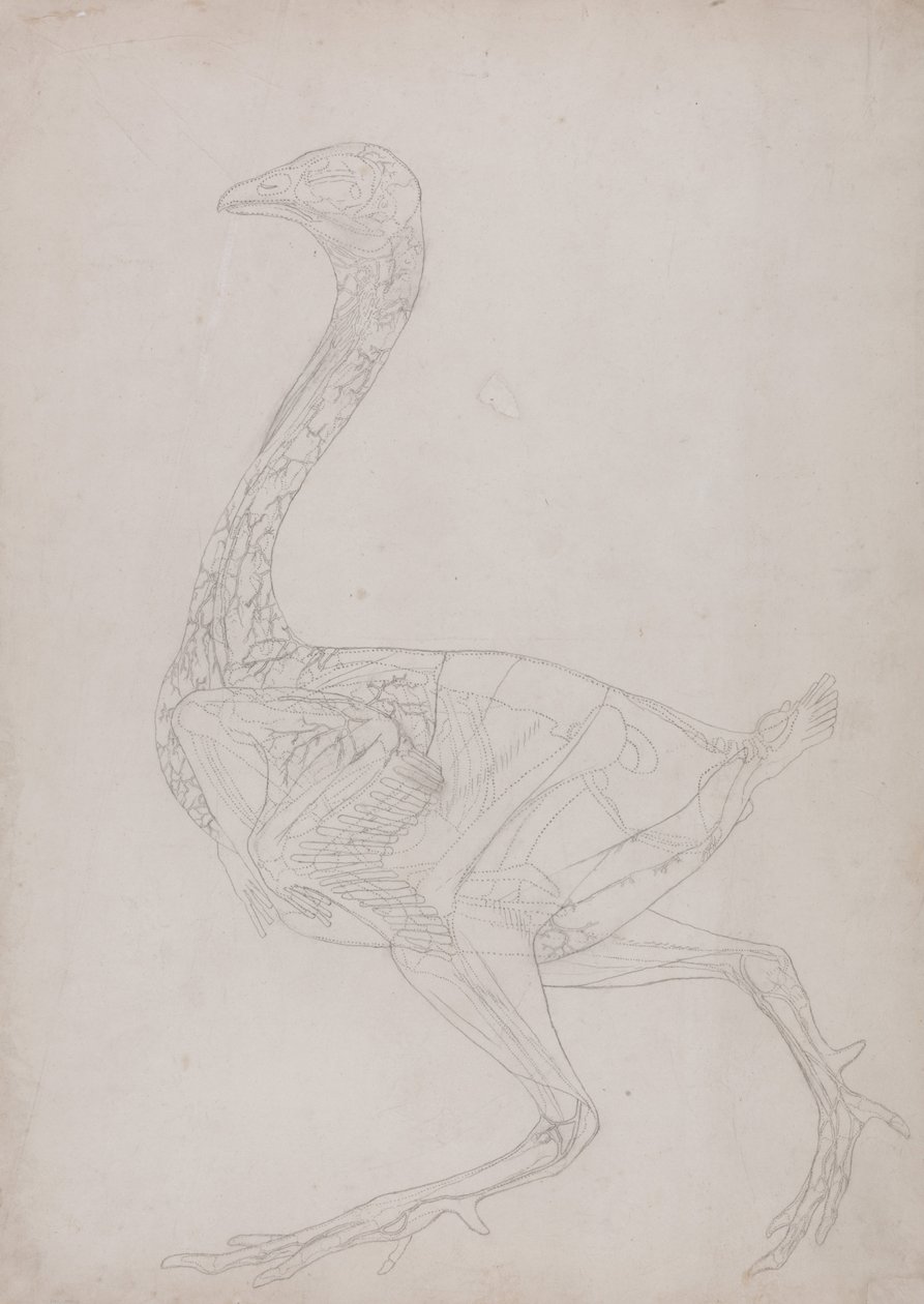  av George Stubbs