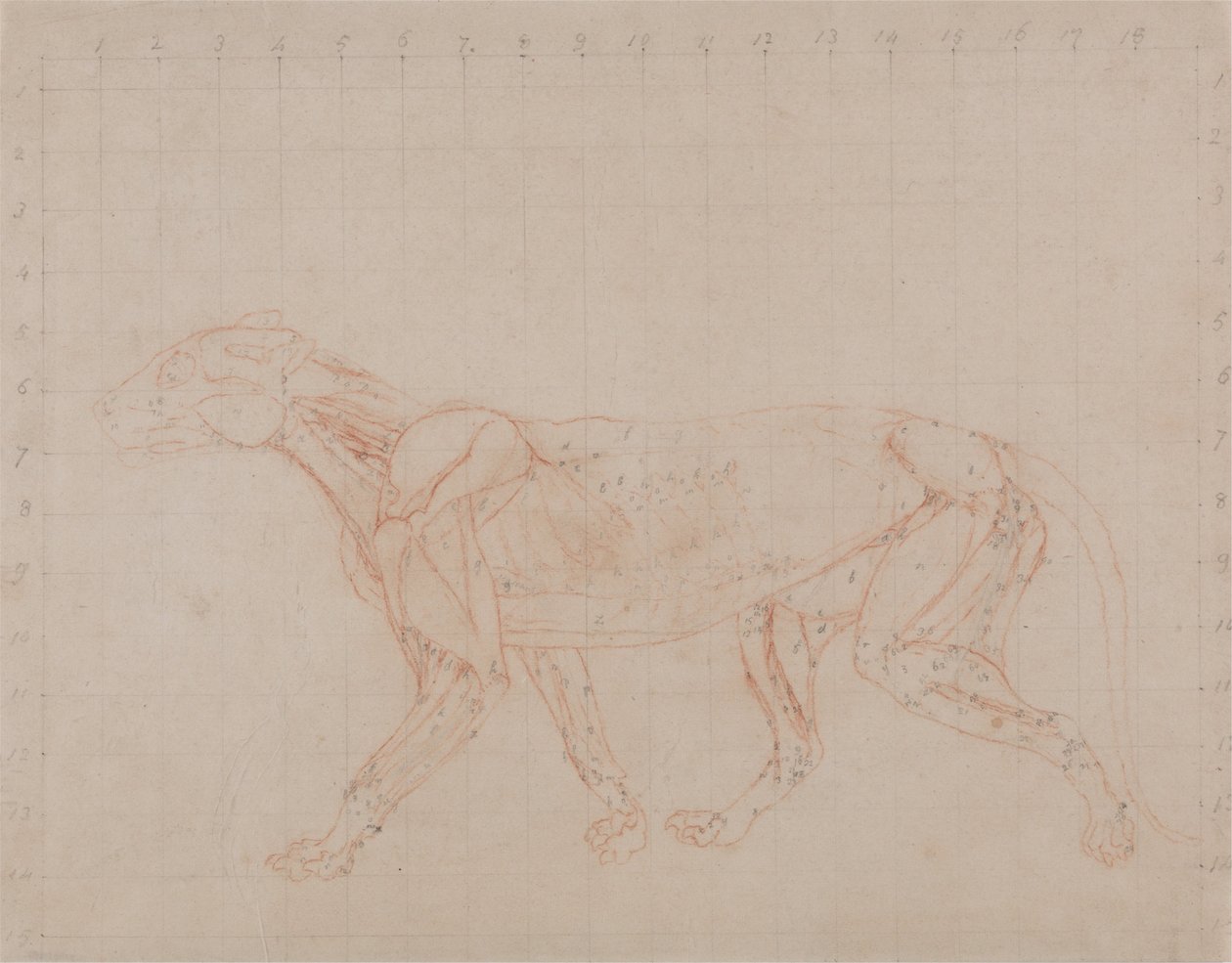  av George Stubbs
