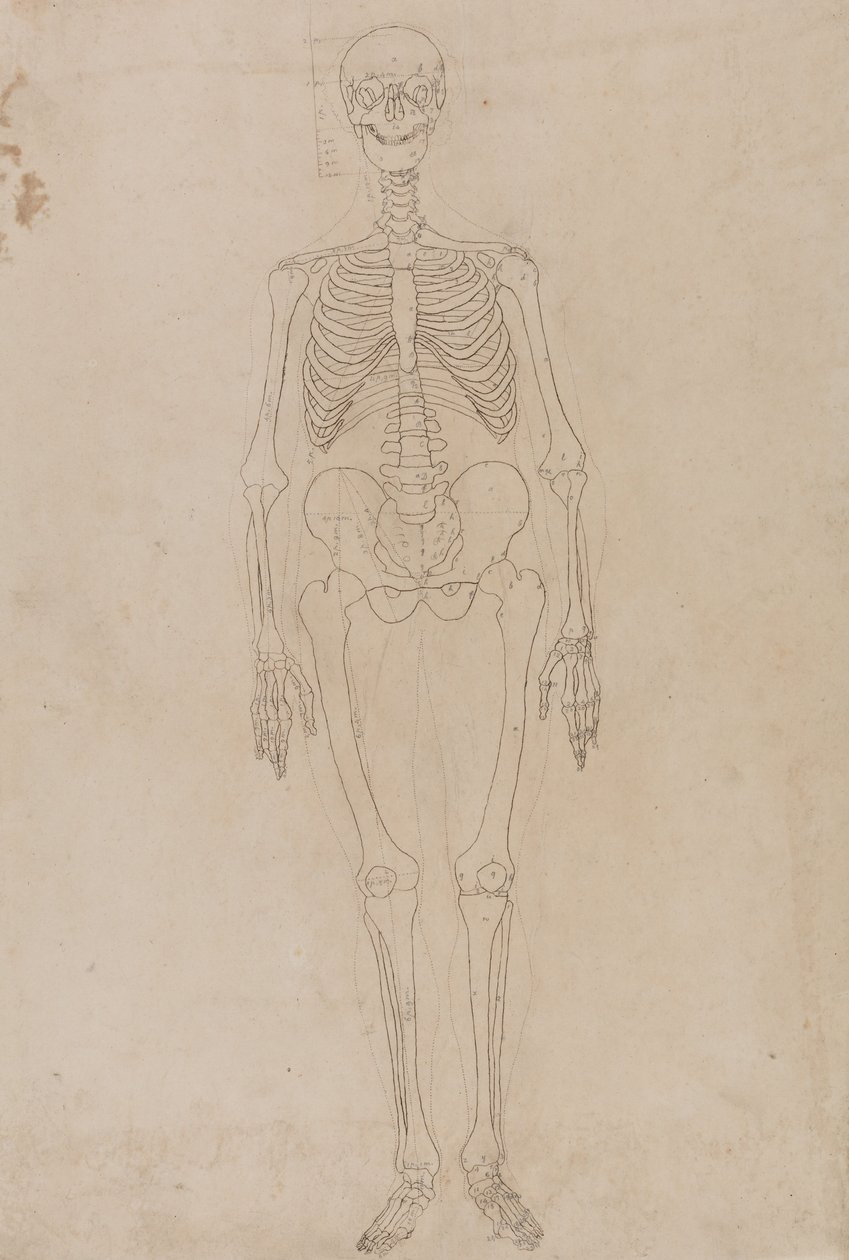  av George Stubbs