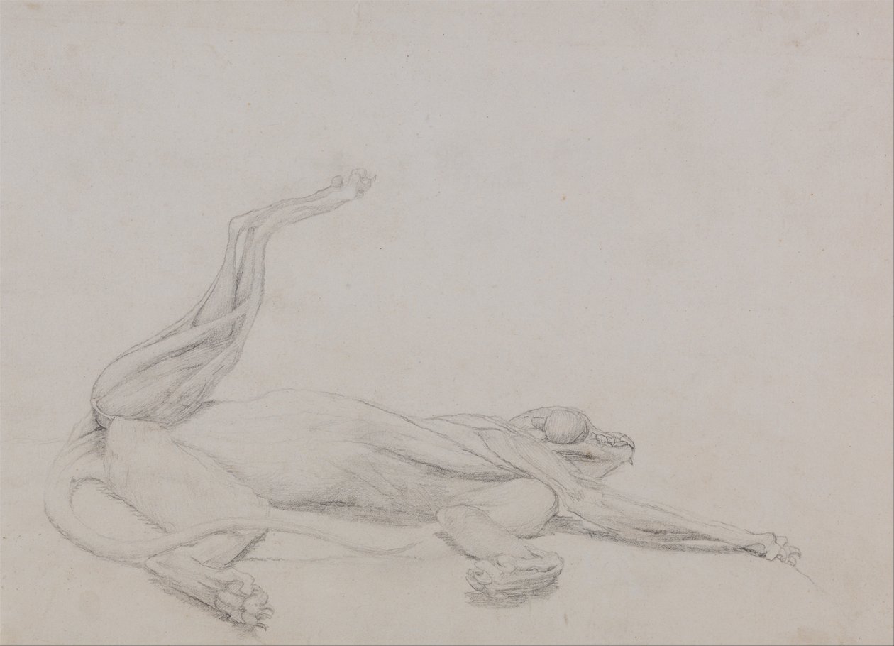 av George Stubbs