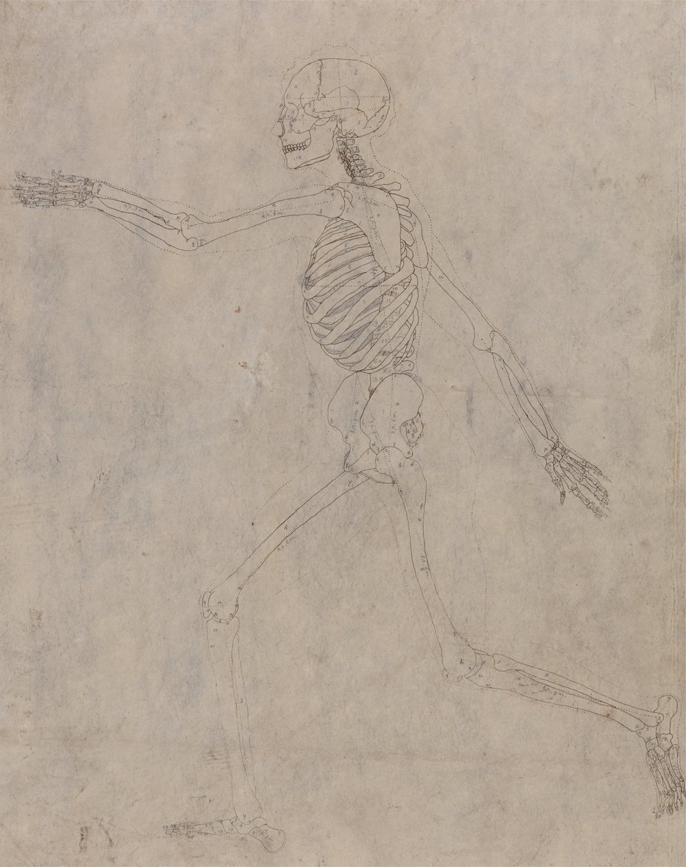  av George Stubbs