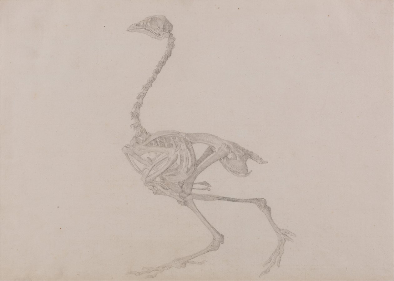  av George Stubbs