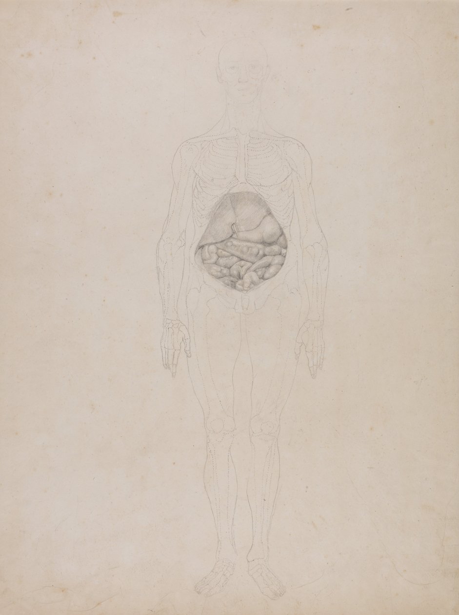  av George Stubbs