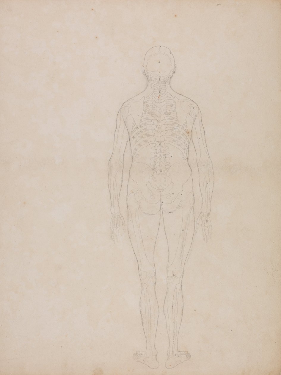  av George Stubbs