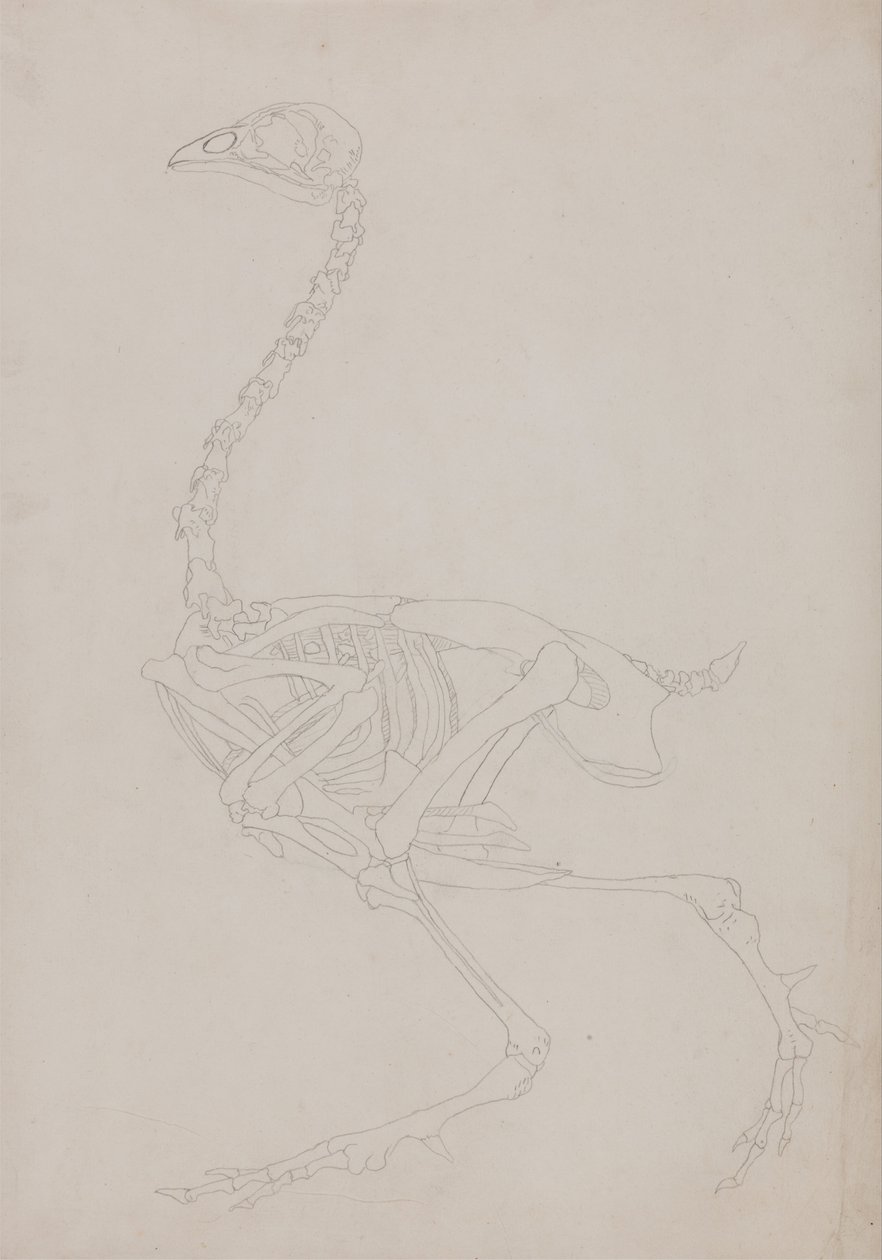  av George Stubbs