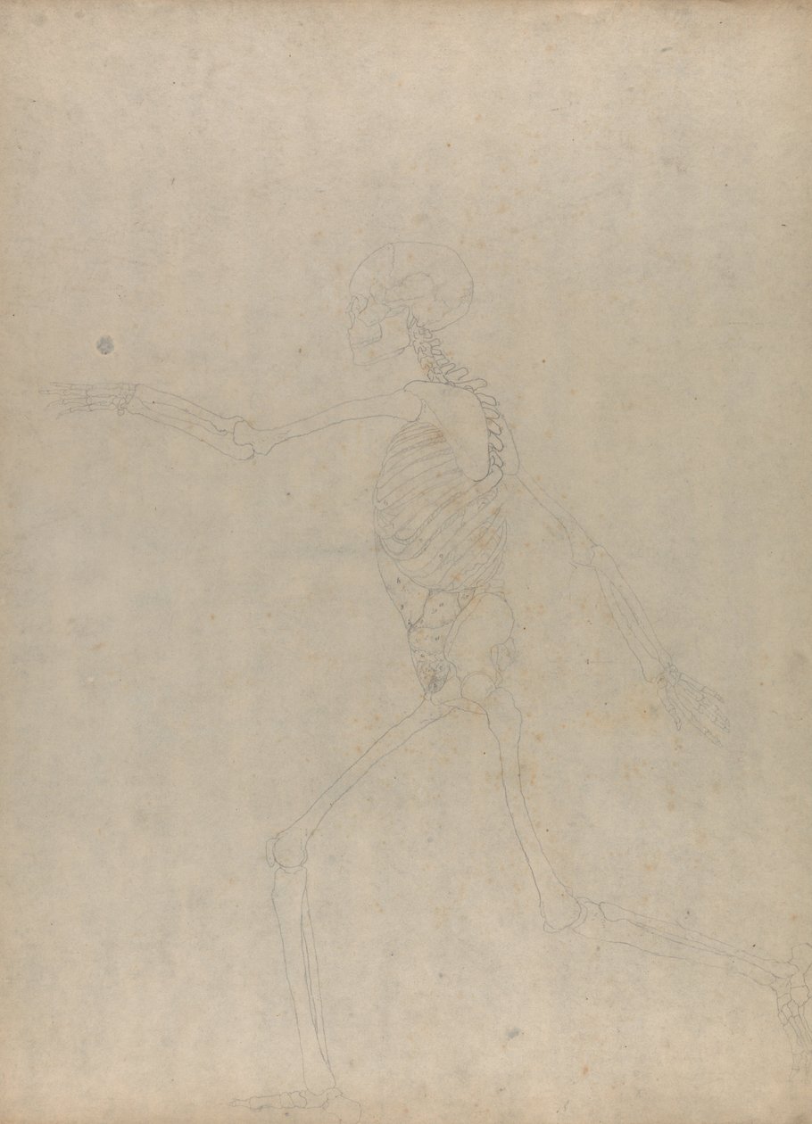  av George Stubbs