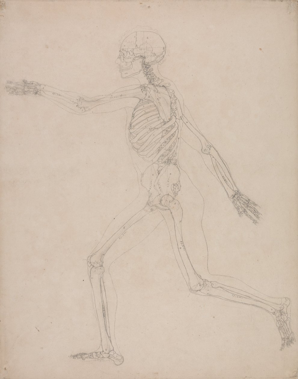  av George Stubbs