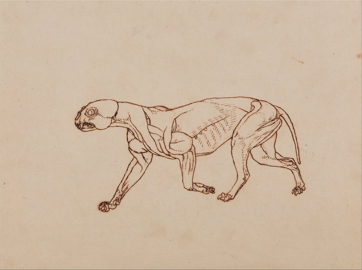  av George Stubbs