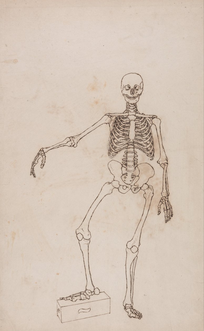  av George Stubbs