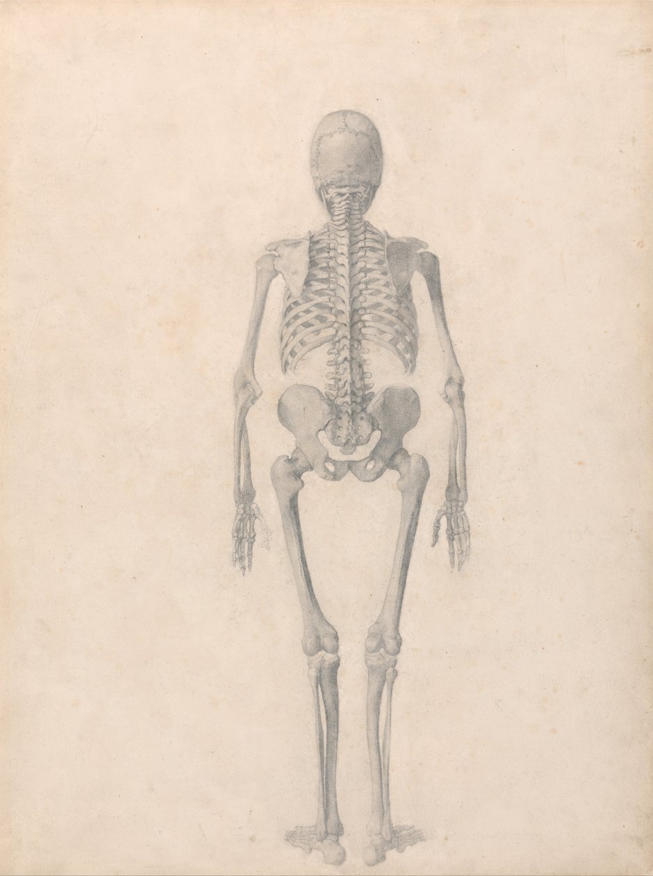  av George Stubbs