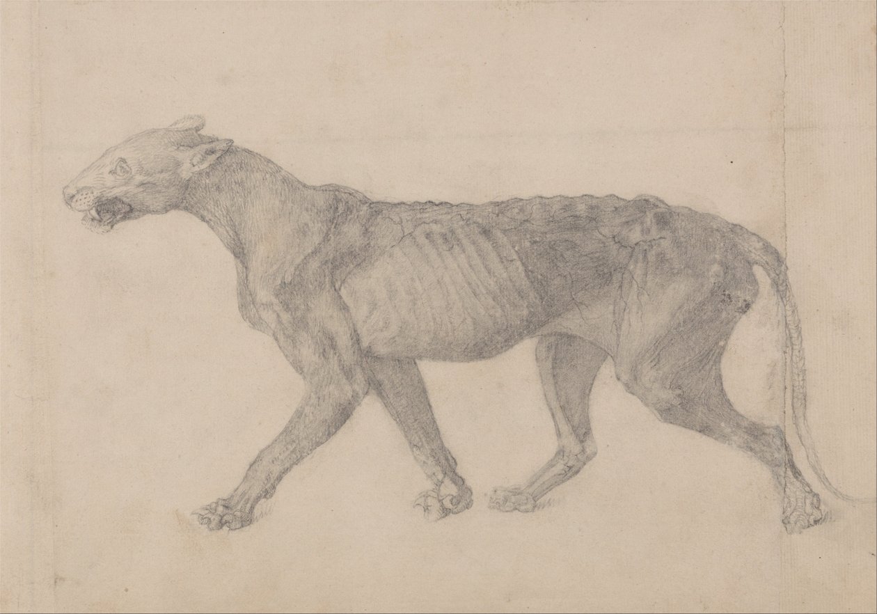  av George Stubbs