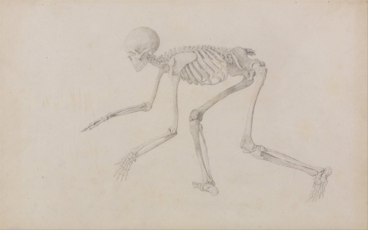  av George Stubbs