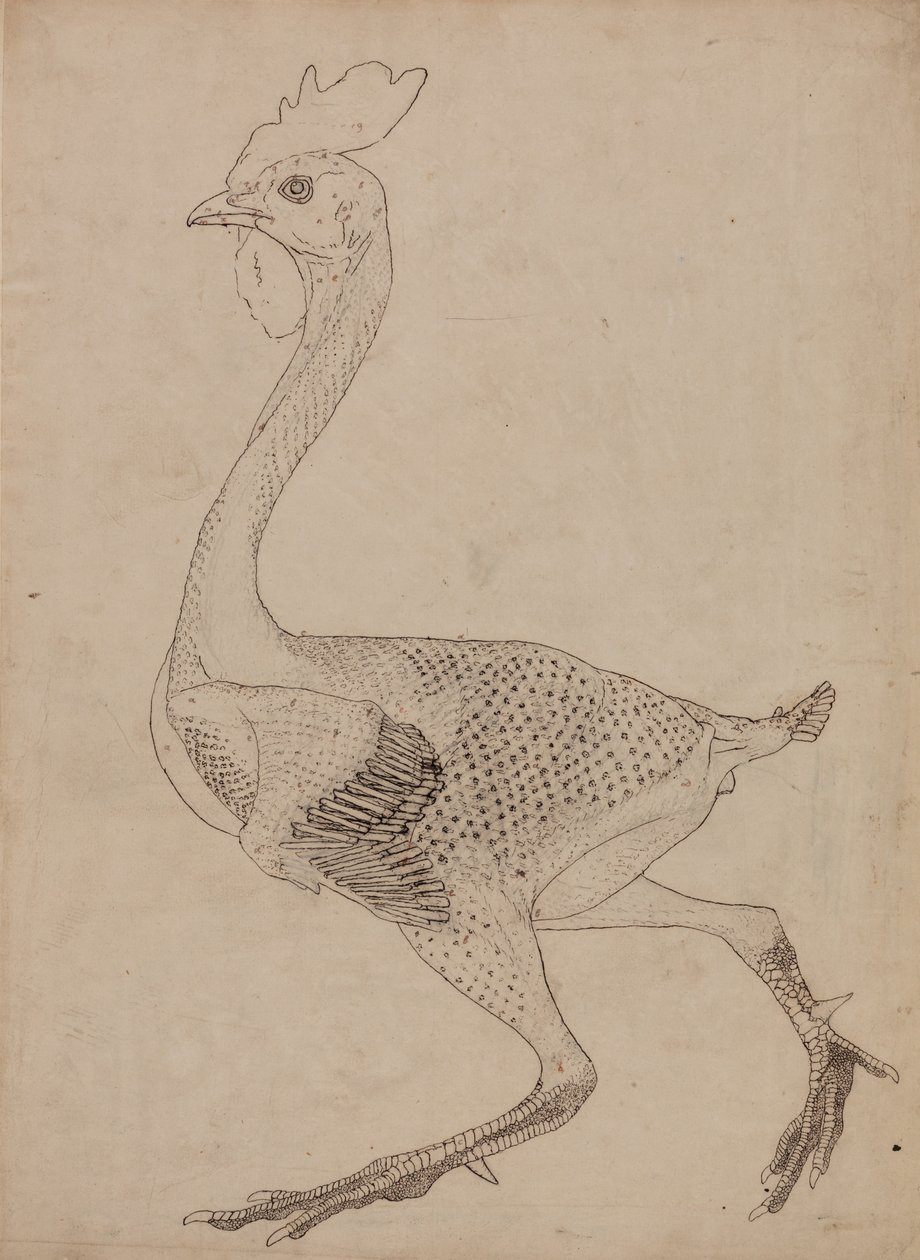  av George Stubbs