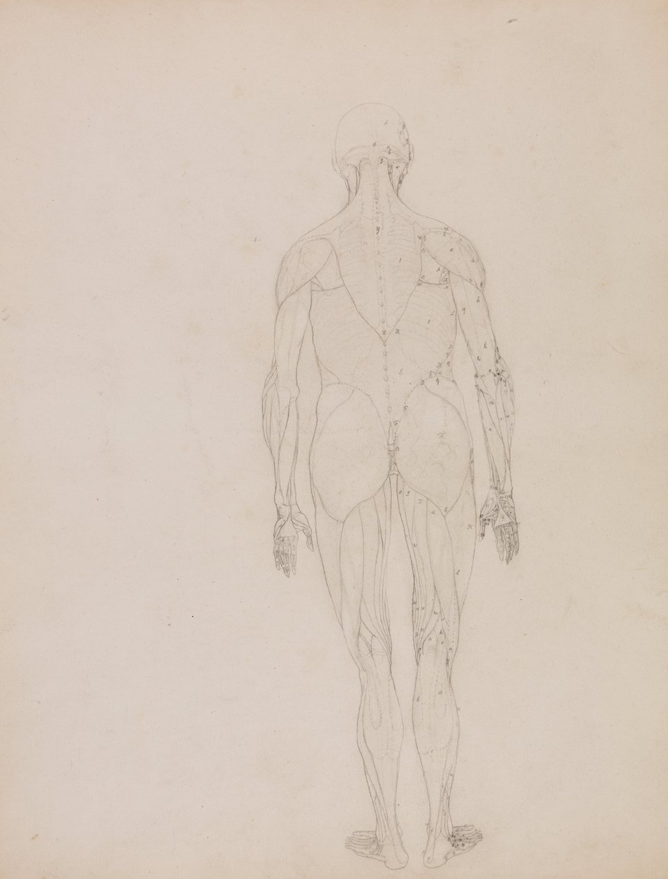  av George Stubbs
