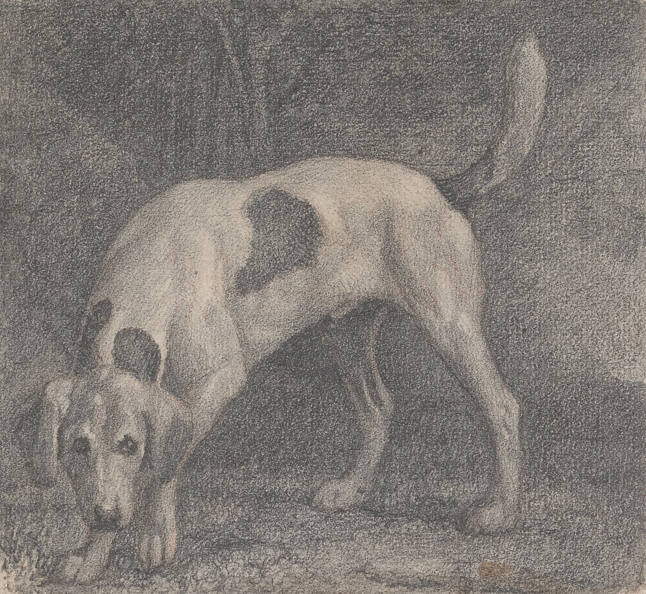 En revehund på duften av George Stubbs