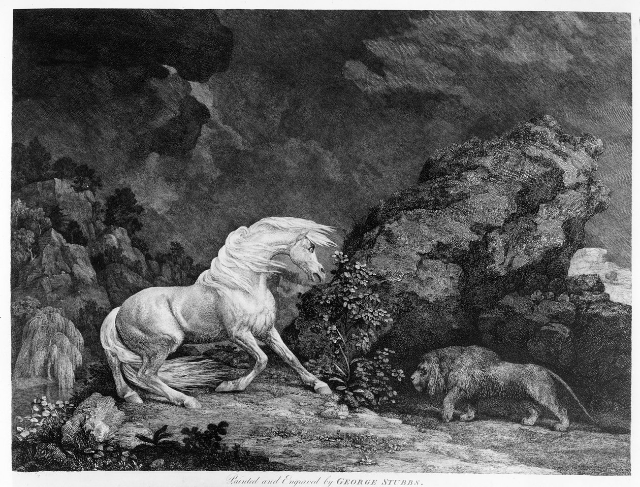 A Horse Frighted by a Lion, gravert av kunstneren, 1777 av George Stubbs
