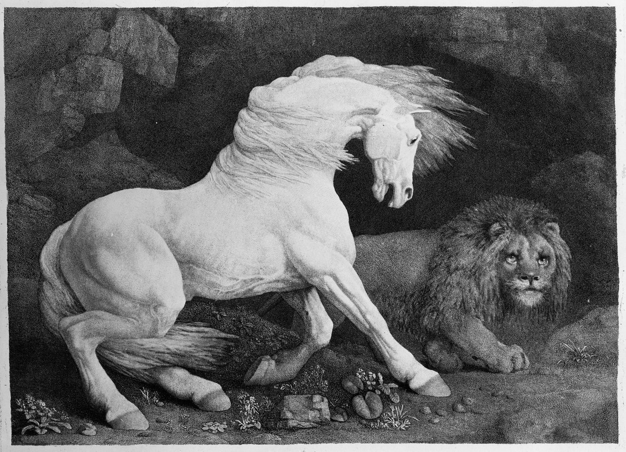 A Horse Frighted by a Lion, gravert av kunstneren, 1788 av George Stubbs