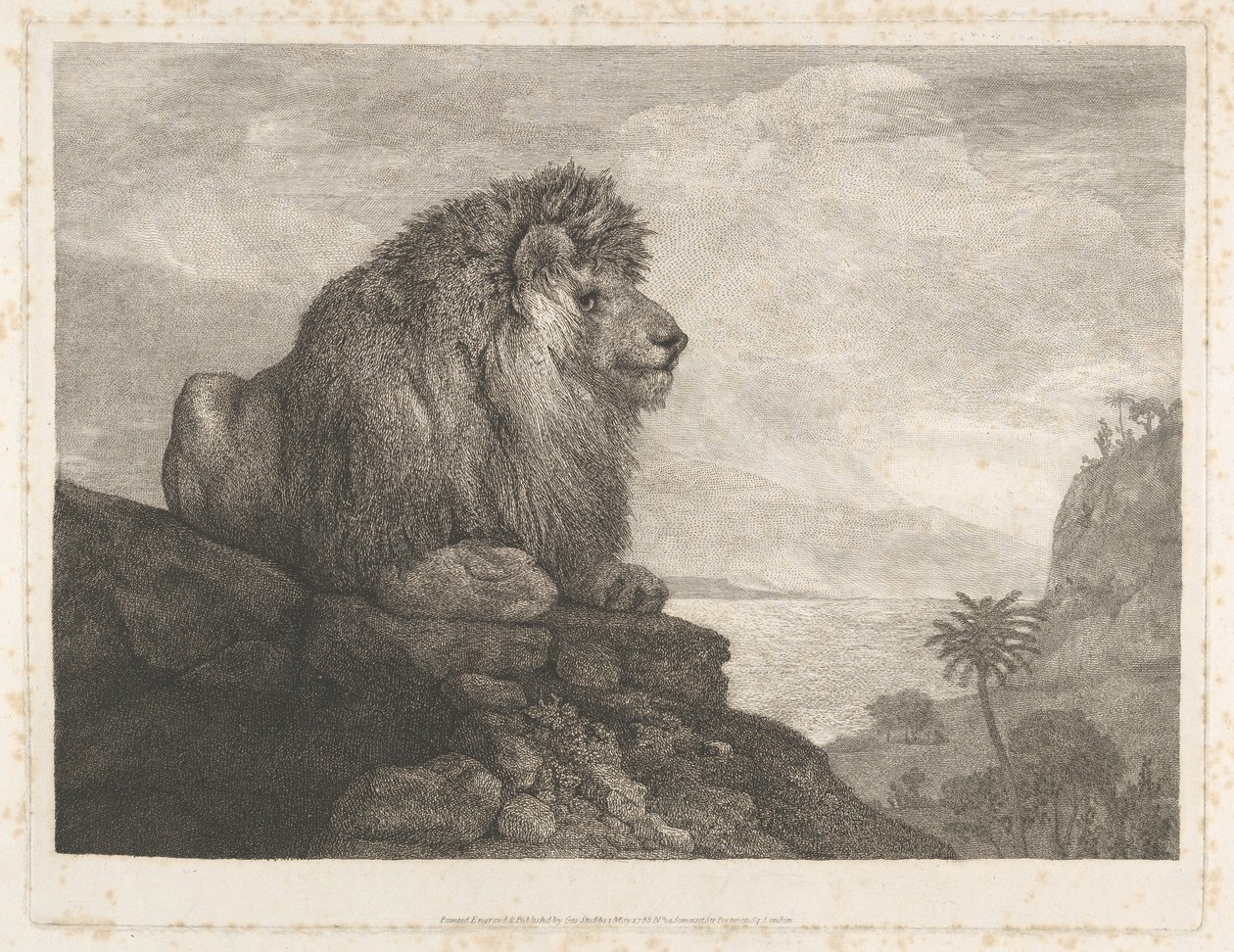 En løve (en løve som hviler på en klippe) av George Stubbs