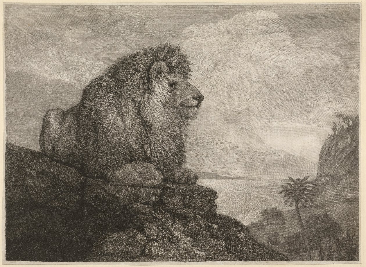 A Lion (A Lion Resting on a Rock) gravert av kunstneren av George Stubbs
