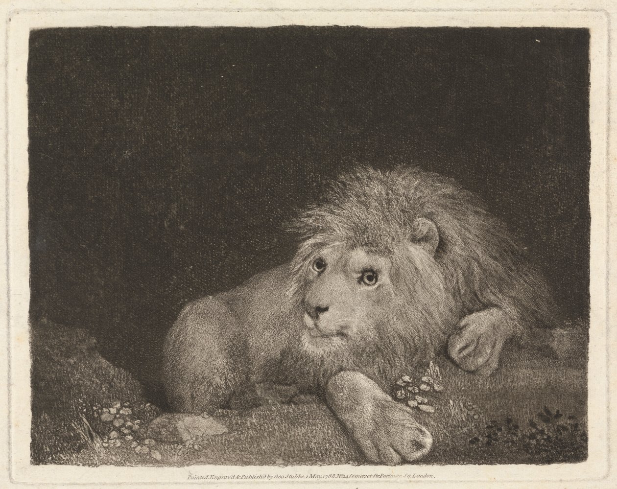 En løve [En liggende løve] av George Stubbs