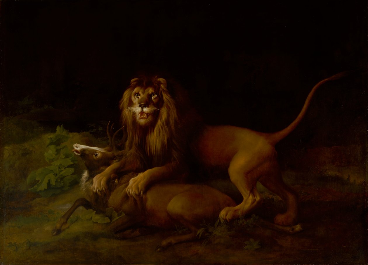 En løve som angriper en hjort, mellom 1765 og 1766. av George Stubbs