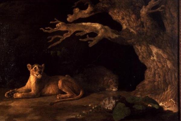 En løve og en løvinne av George Stubbs