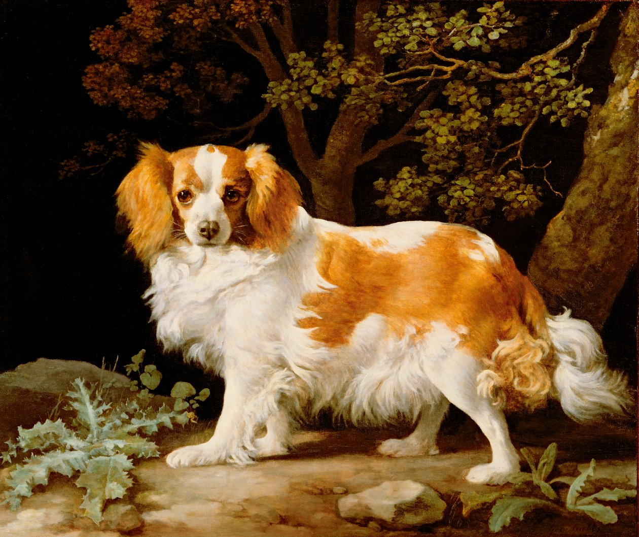 En lever og hvit King Charles Spaniel i et skogkledd landskap av George Stubbs