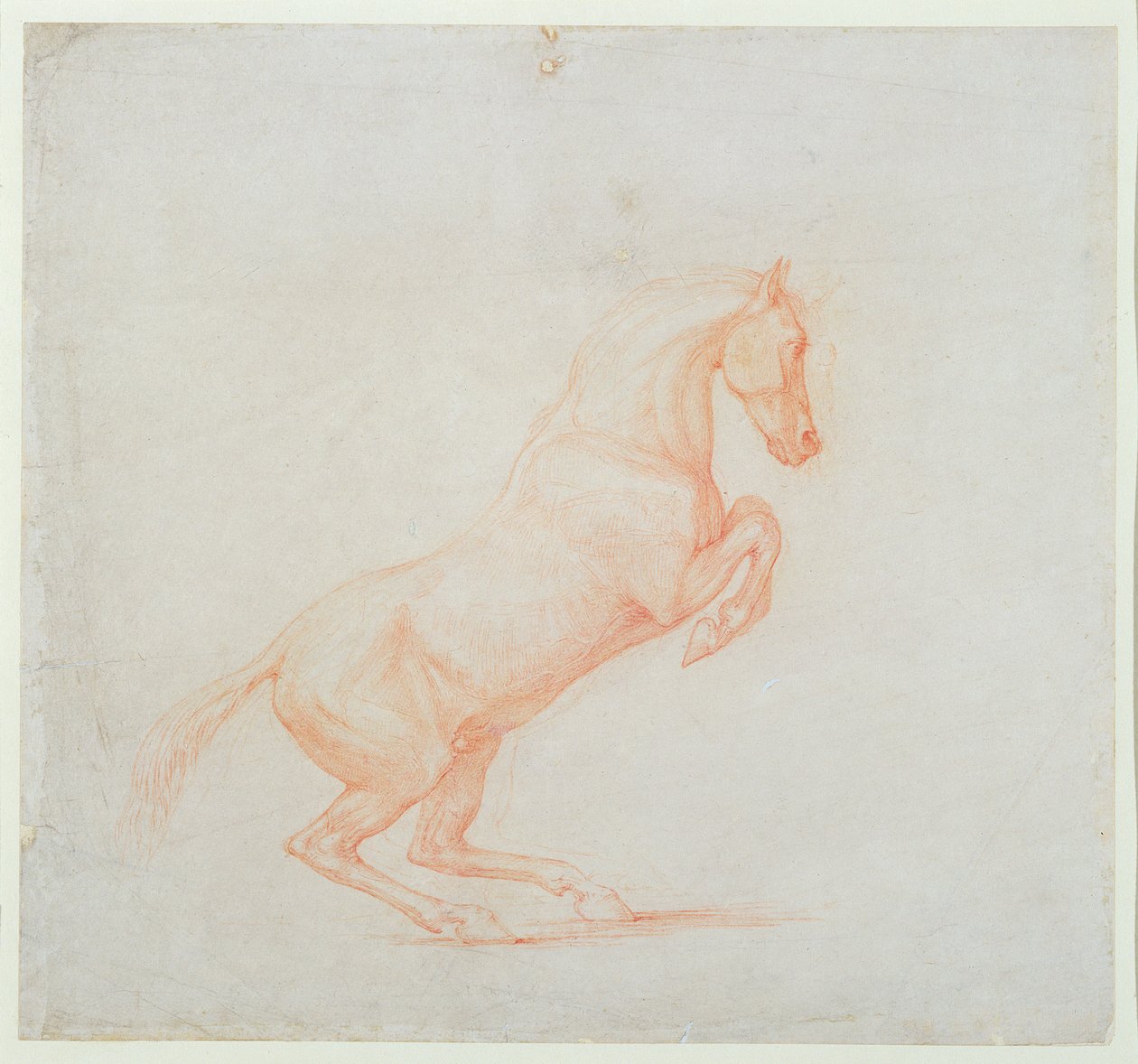 En prancing Horse, vendt mot høyre, 1790 (rødt kritt på papir) av George Stubbs
