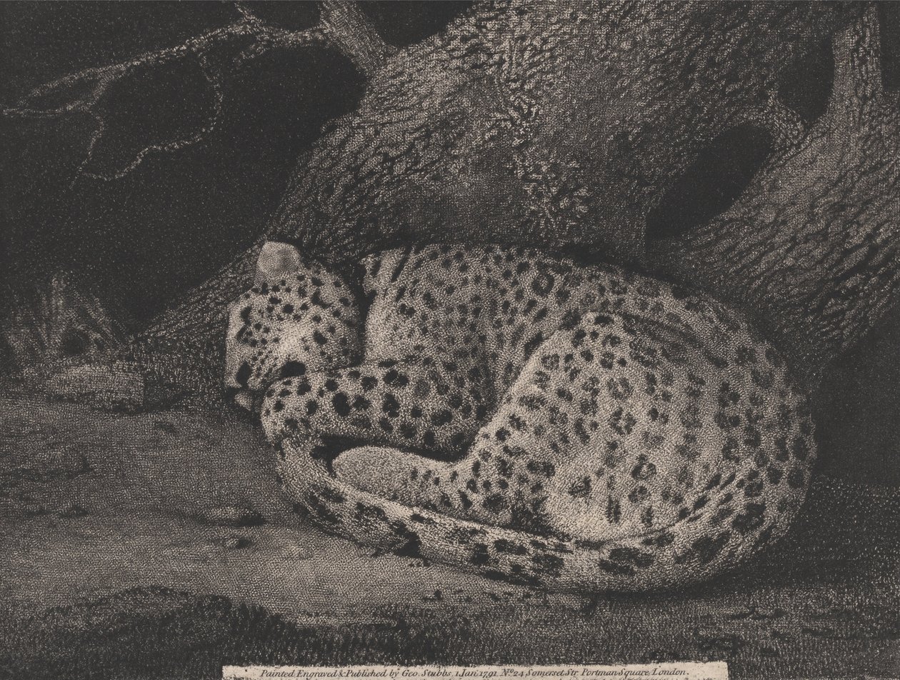  av George Stubbs