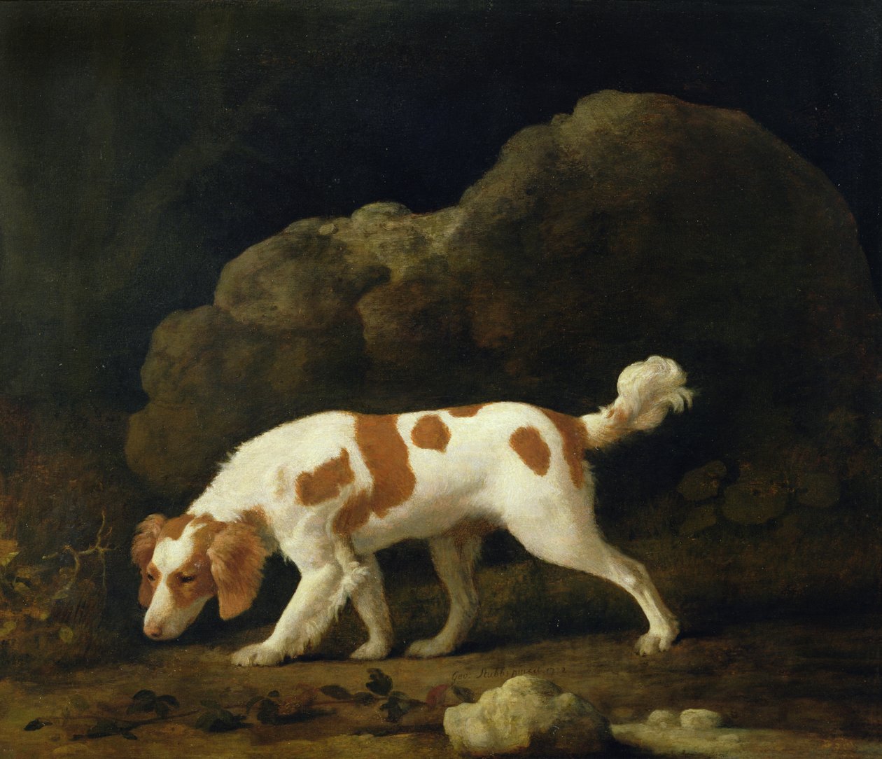 En spaniel (olje på lerret) (for par se 266116) av George Stubbs