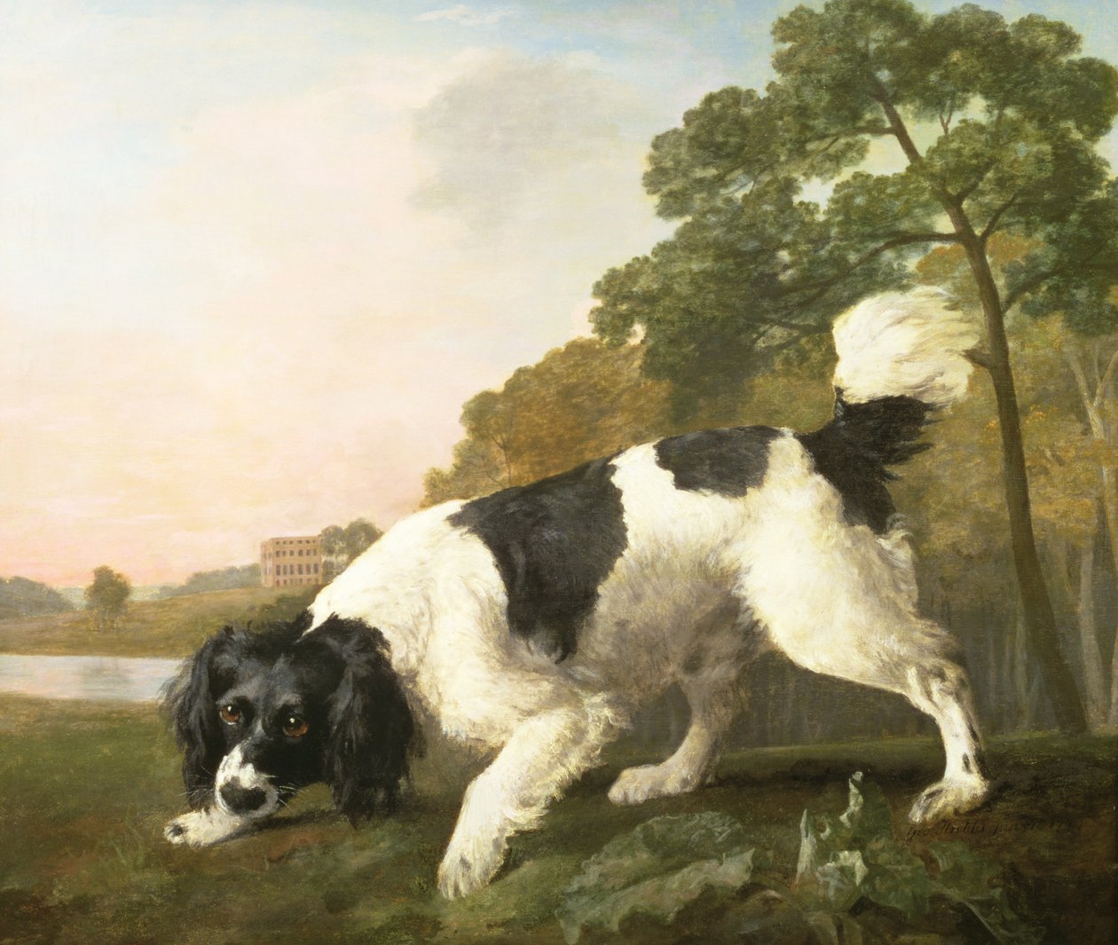 En spaniel i et landskap, 1771 av George Stubbs