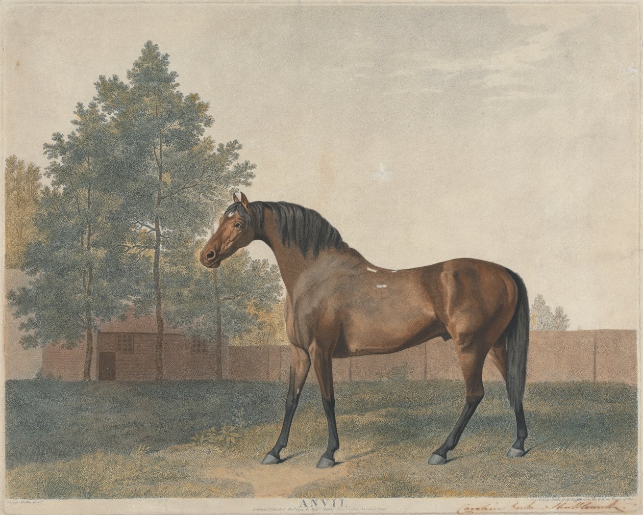 "Ambolt" av George Stubbs