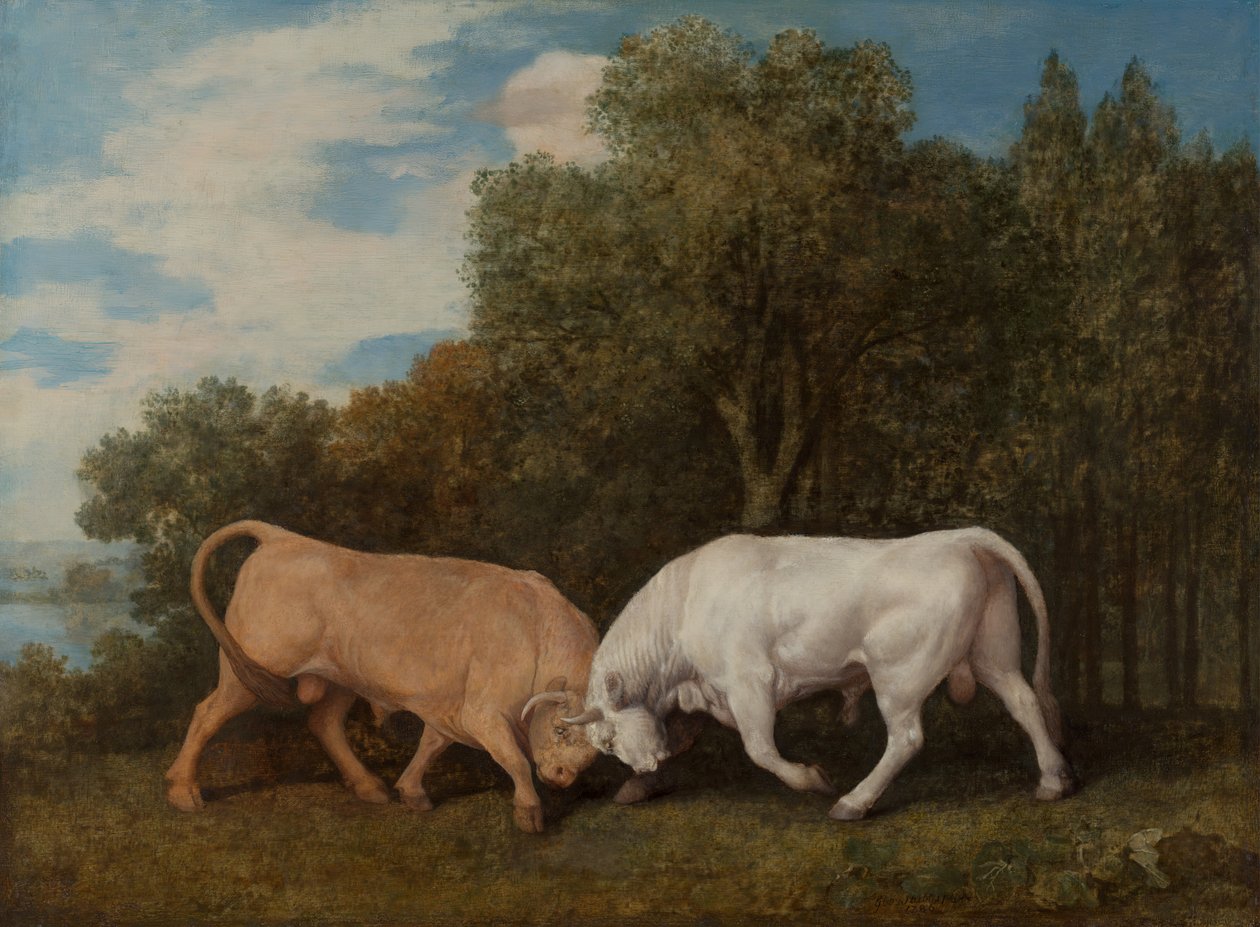 Oksekamp, 1786. av George Stubbs