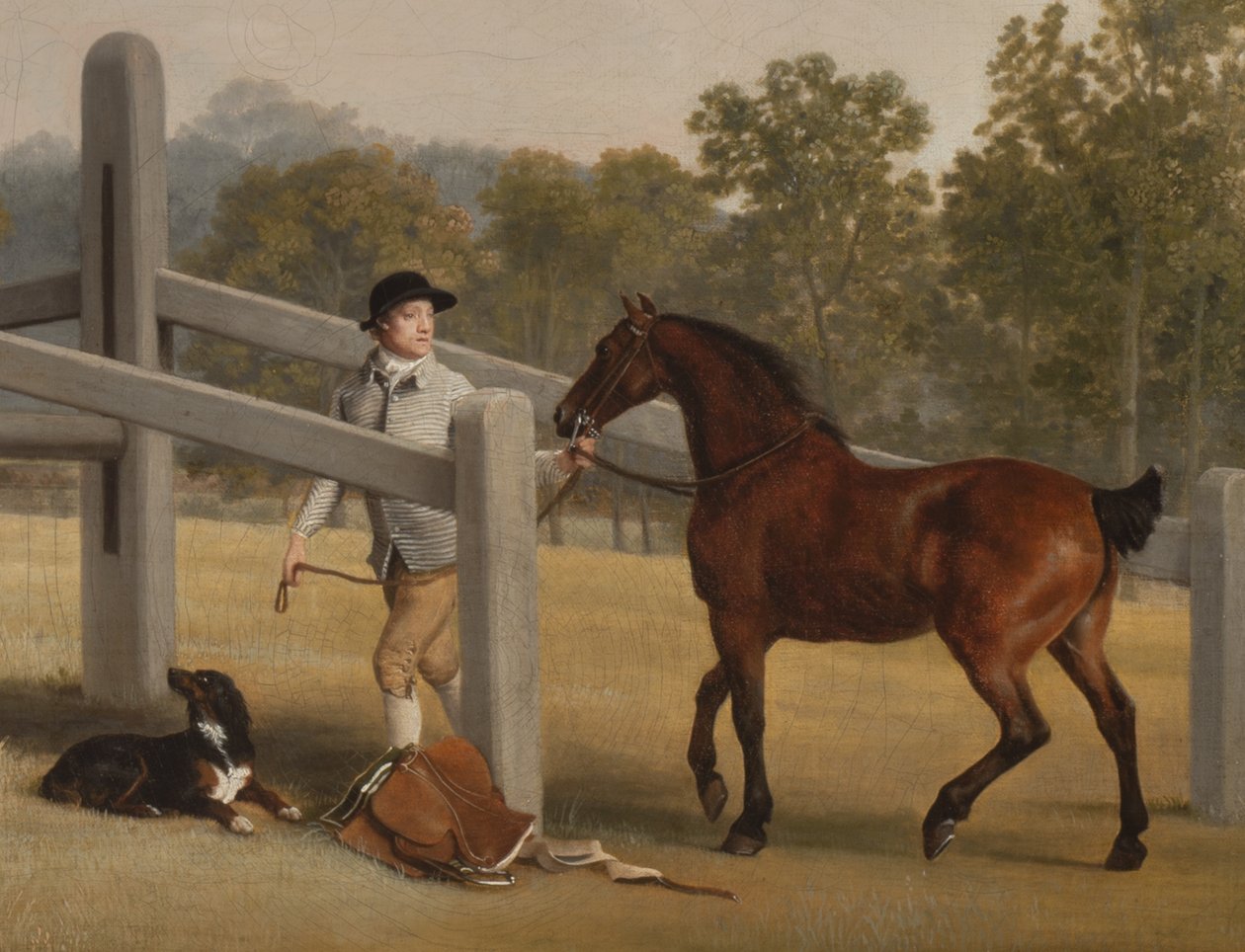 Detalj fra William Henry Cavendish-Bentinck, 3. hertug av Portland og hans yngre bror Lord Edward, 1767-68 (detalj av 3089923) av George Stubbs