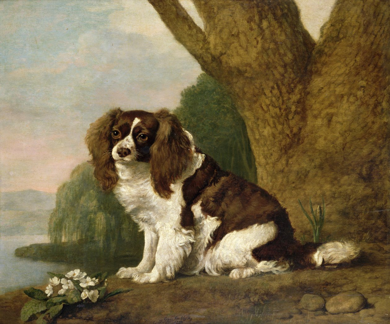 Fanny, en brun og hvit spaniel av George Stubbs