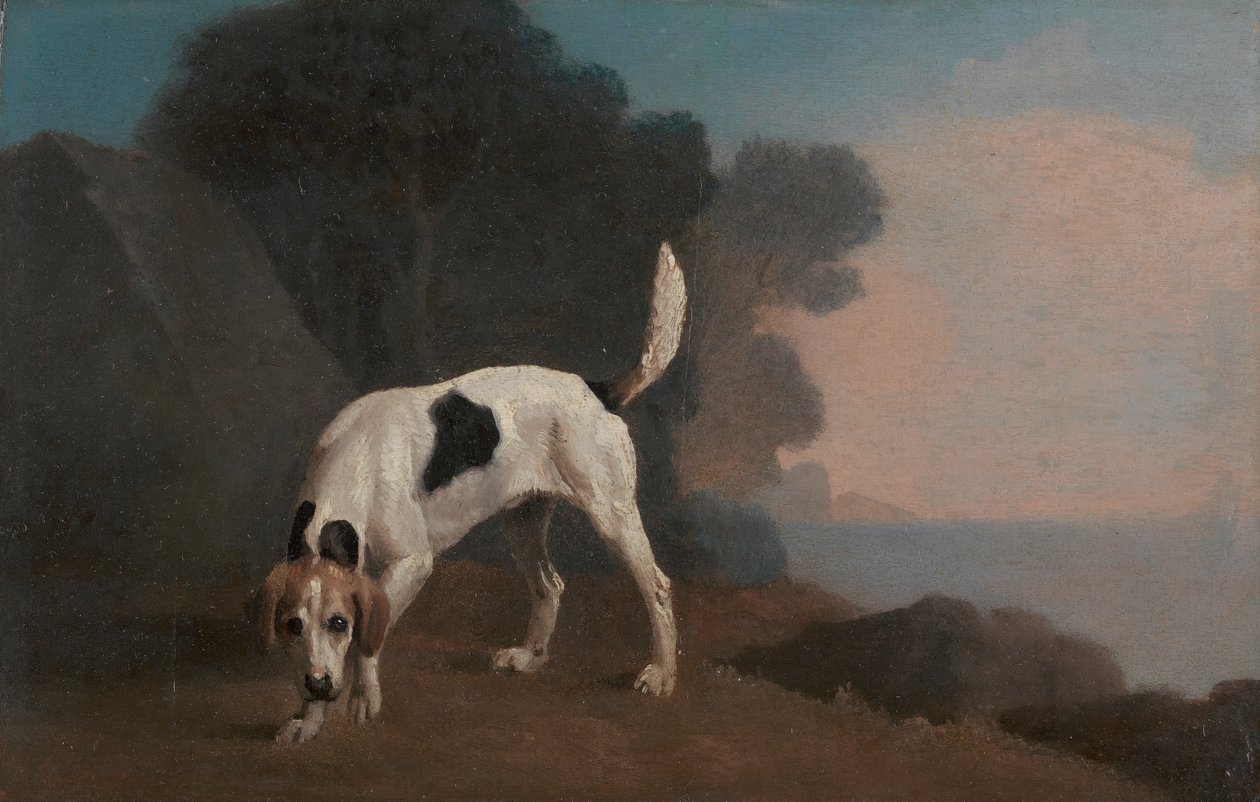 Revehund av George Stubbs