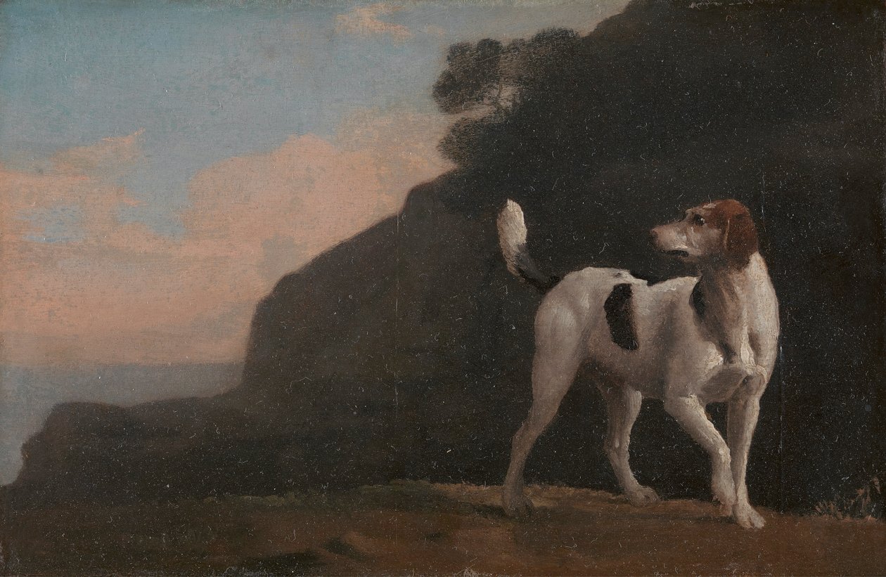 Revehund av George Stubbs