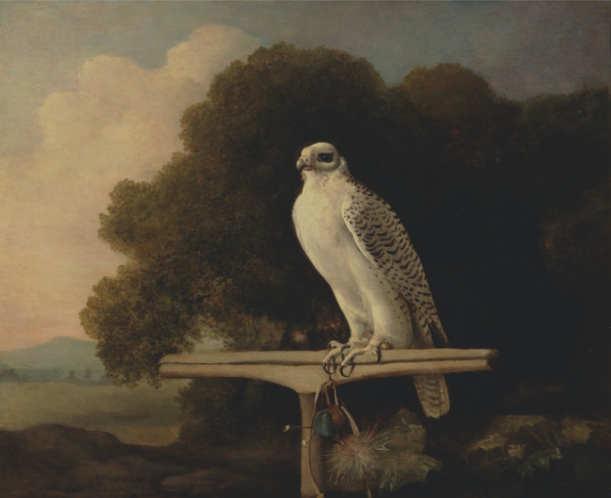 Grønlandsfalk av George Stubbs