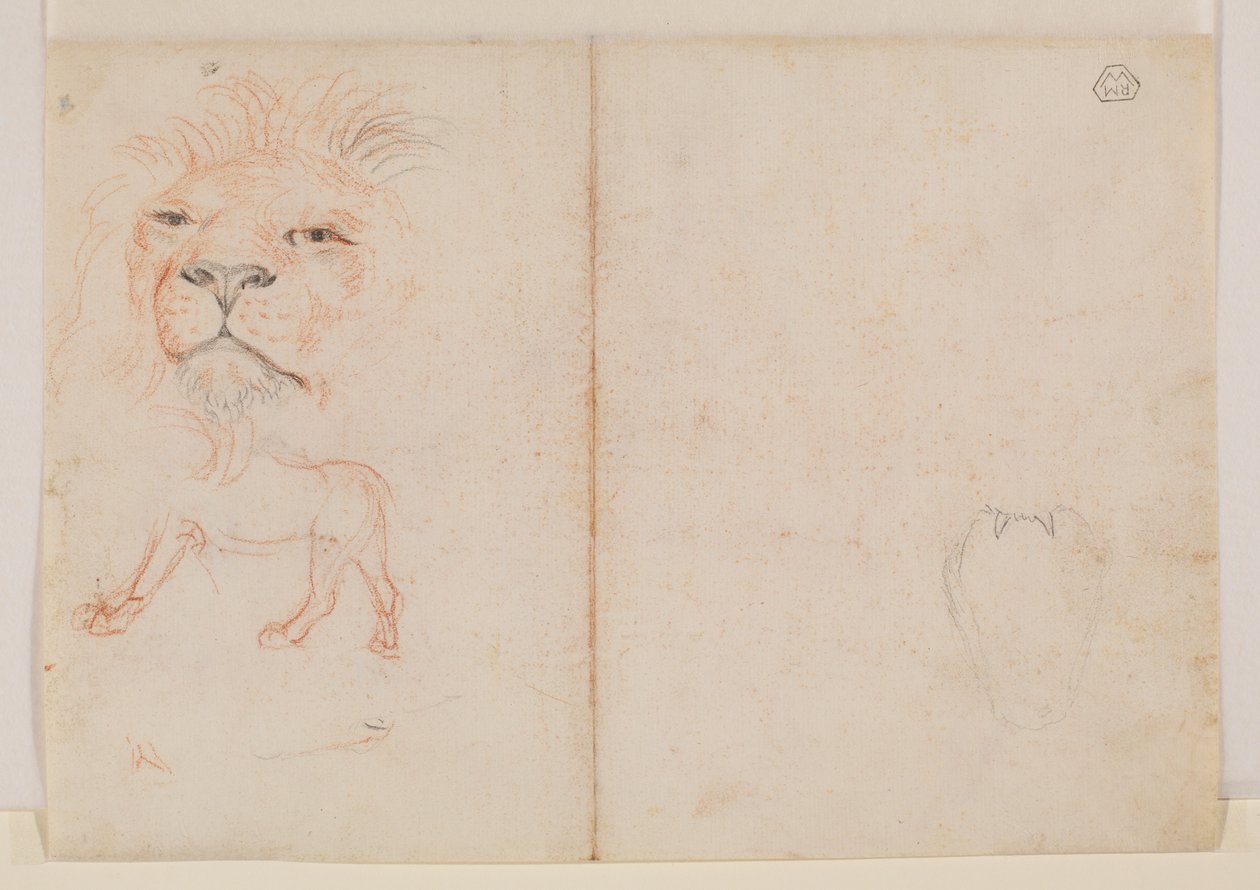 Hodet til en løve, verso, 1700- eller 1800-tallet av George Stubbs