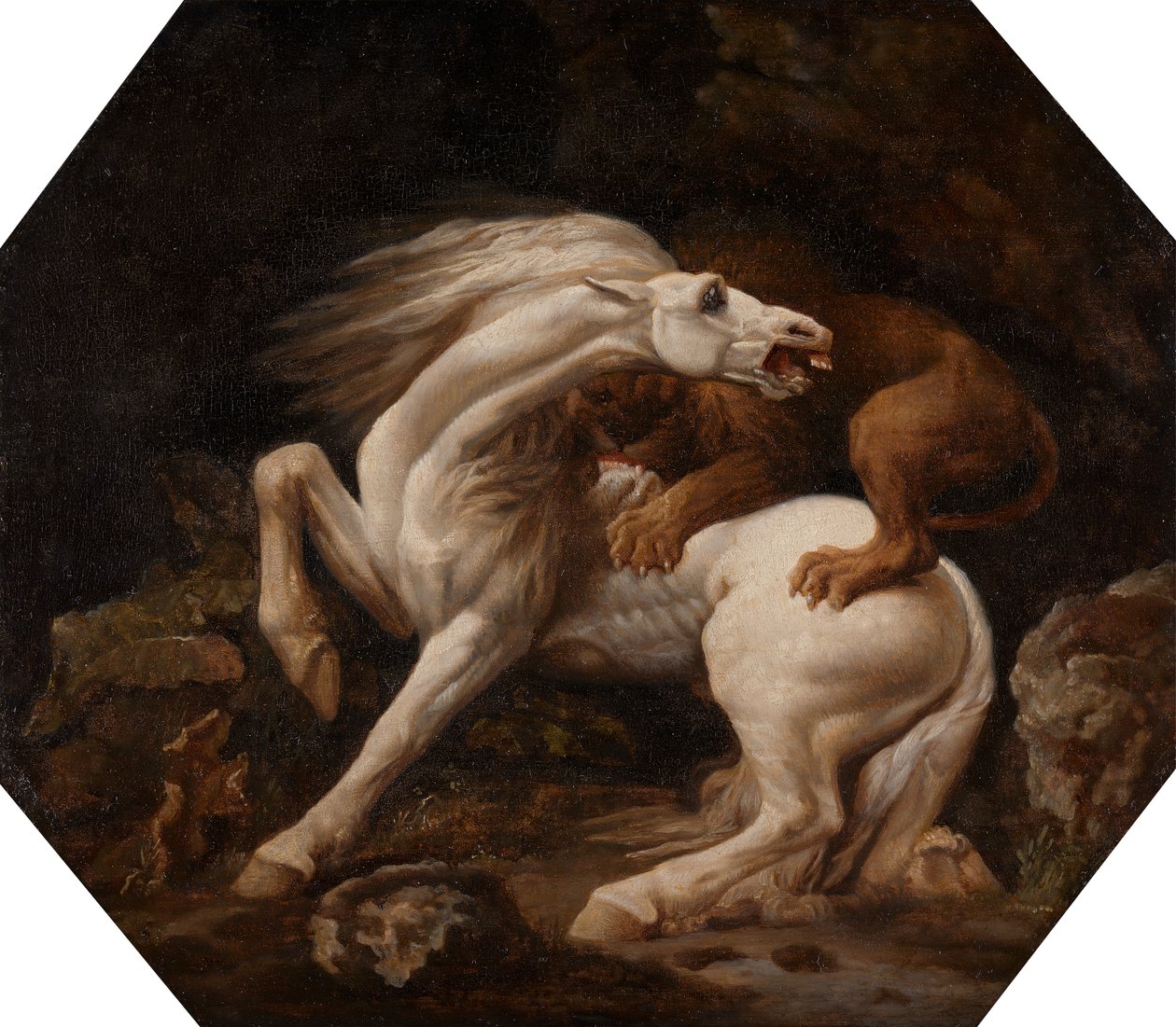 Hest angrepet av en løve Episode C, mellom 1768 og 1769. av George Stubbs