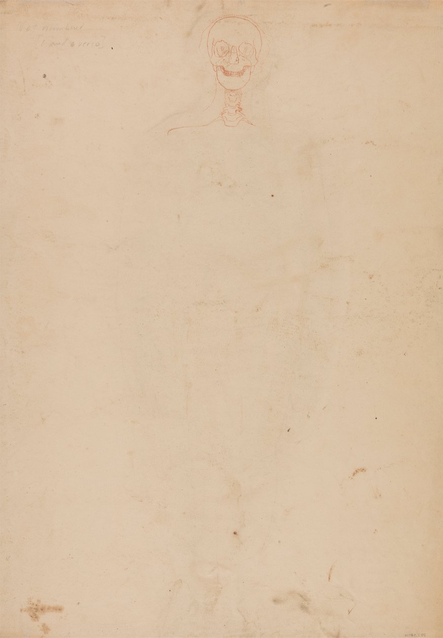 Menneskeskjelett, forfra av George Stubbs