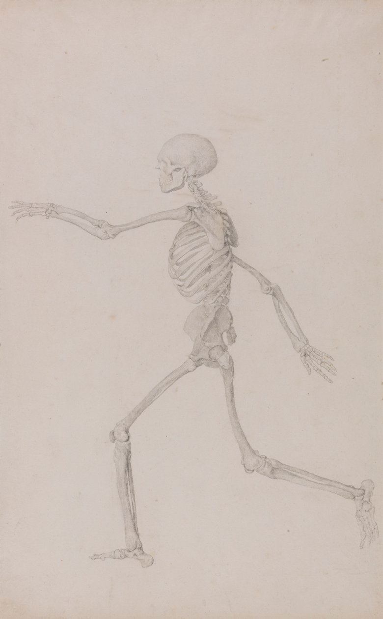 Menneskeskjelett, sett fra venstre, løpende (ferdig studie for tabell III) av George Stubbs