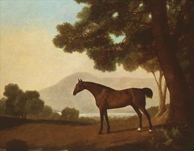 "Johnny", en bukthingst i et skogkledd landskap av George Stubbs
