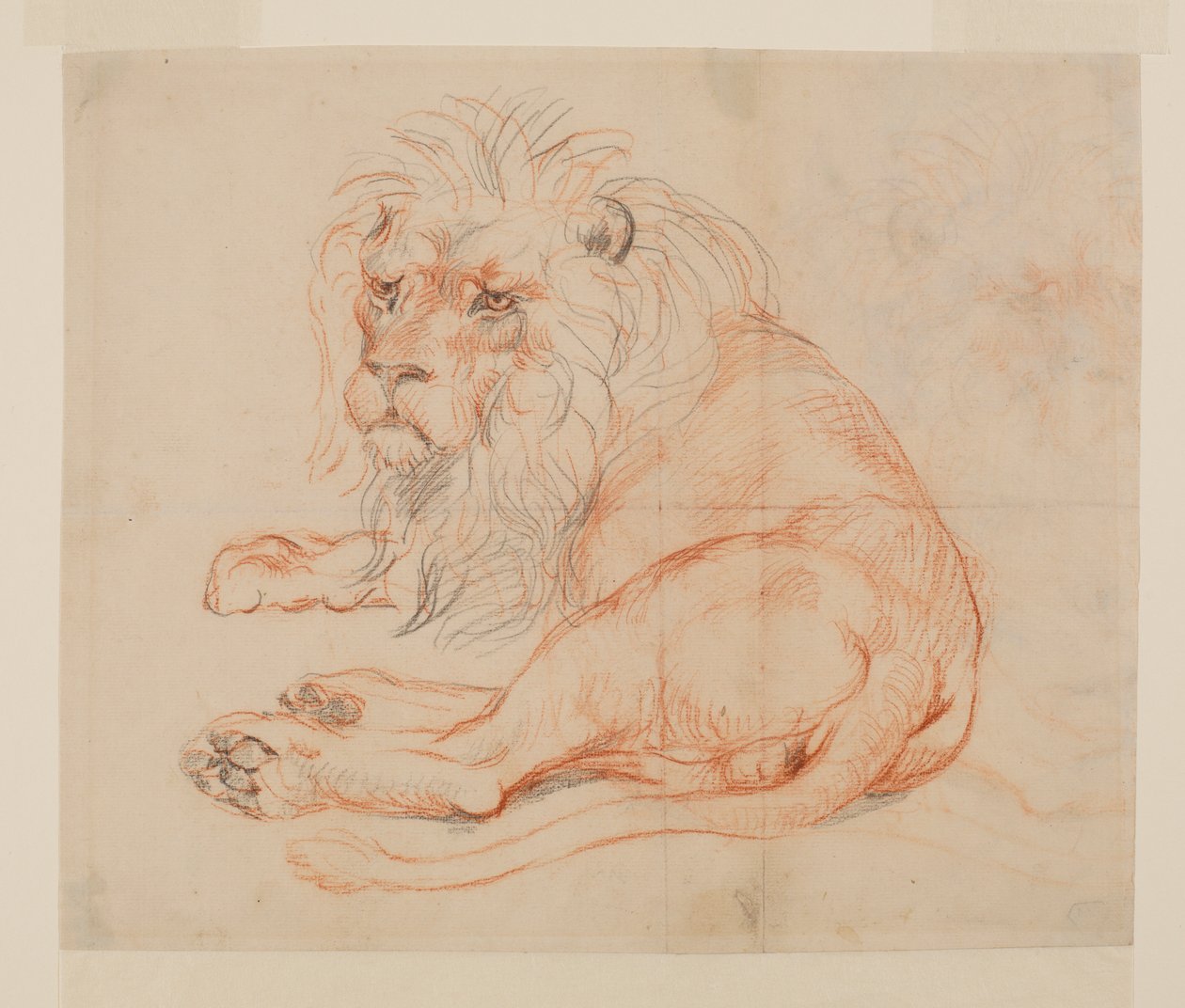 Løve hviler, recto, 1700- eller 1800-tallet av George Stubbs