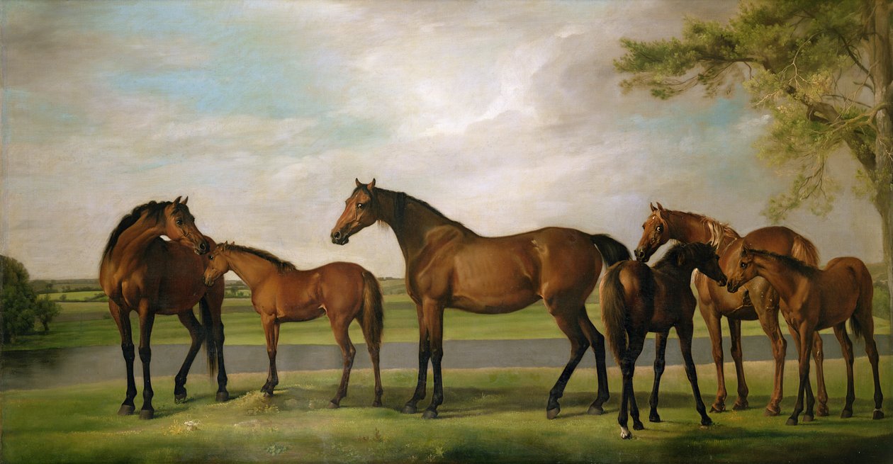 Hopper og føll forstyrret av en storm som nærmer seg, 1764-66 av George Stubbs