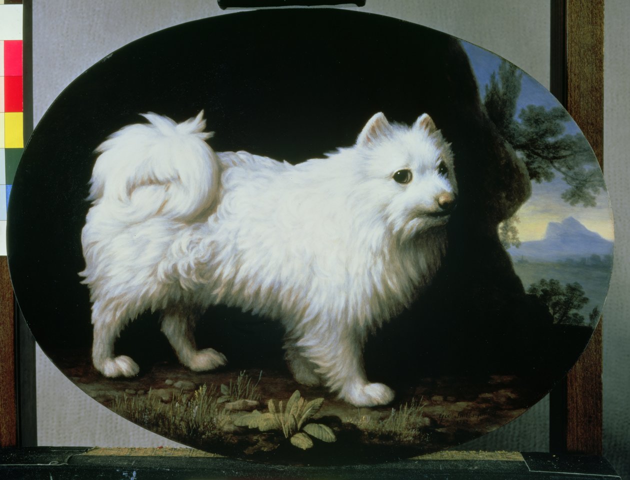 Portrett av fru Frenchs hvite lapphund, 1782 av George Stubbs