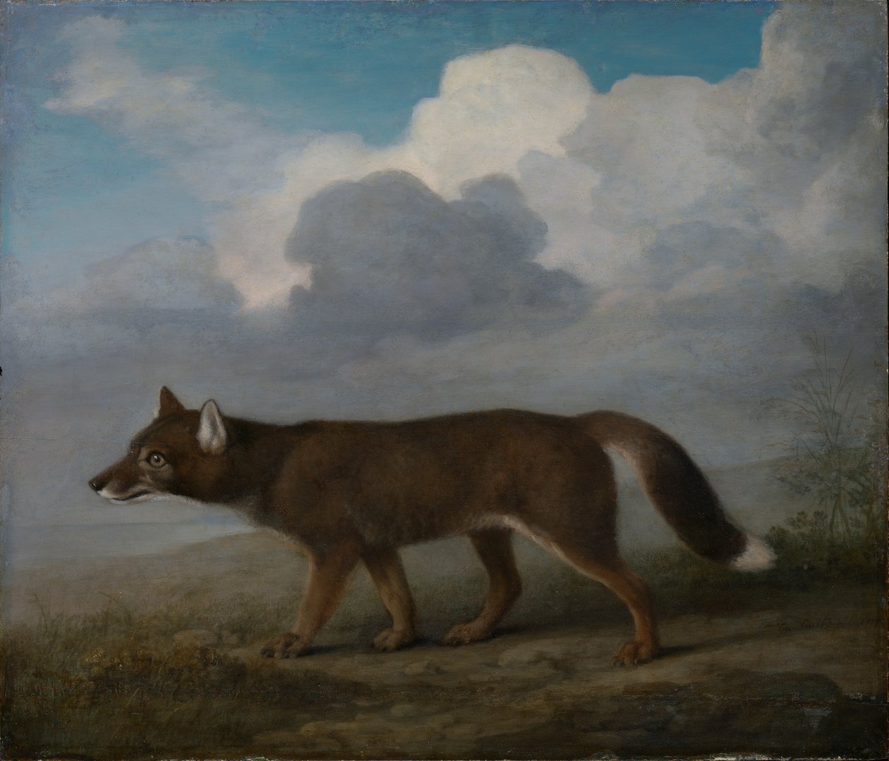  av George Stubbs