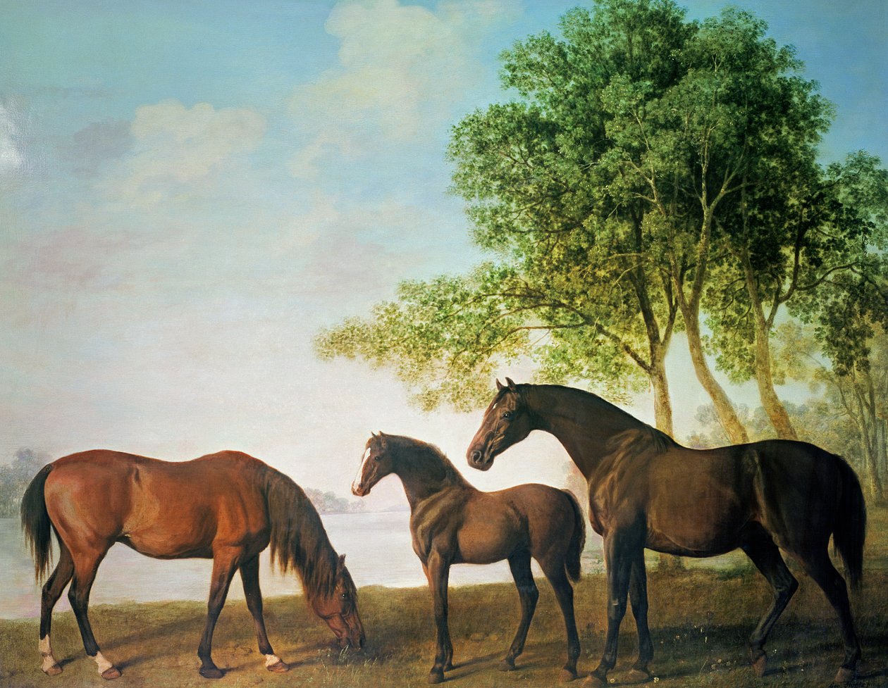Shafto Mares og et føll av George Stubbs